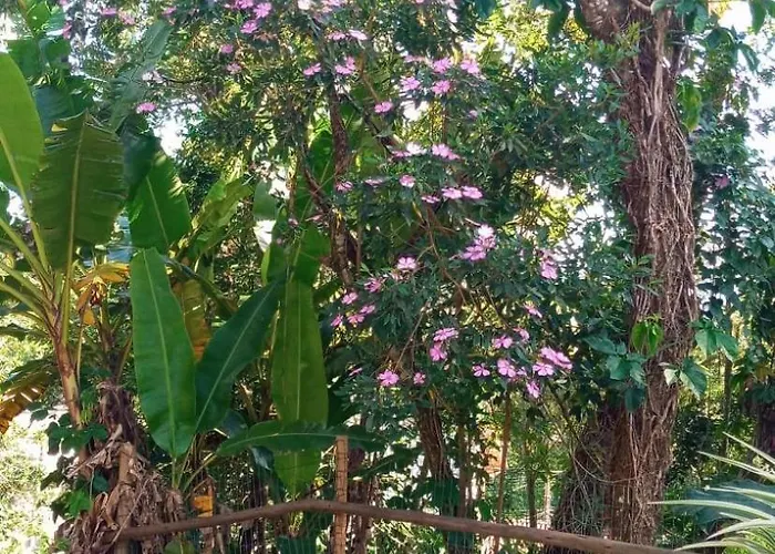 Chale No Morro Vila Ubatuba, Brasil